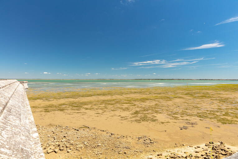Camping Embruns d'Oléron **** photo 6 Charente Maritime Tohapi